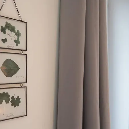 Apartman Freedom Grand Triplex Lumineux Decoration Contemporaine - Plein Centre Historique - Parking Gratuit A Proximite Proche Commerces Restaurants - Plages Du Debarquement *